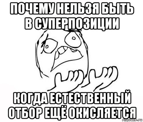 почему нельзя быть в суперпозиции когда естественный отбор ещё окисляется, Мем   почему