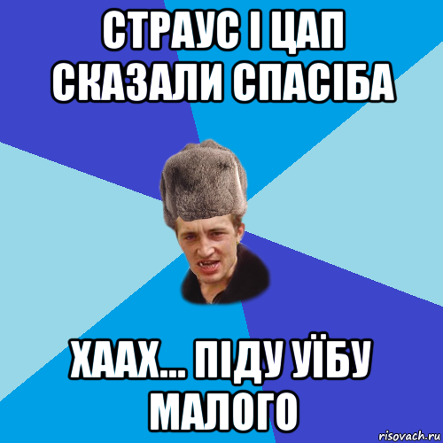 страус і цап сказали спасіба хаах... піду уїбу малого, Мем Празднчний паца