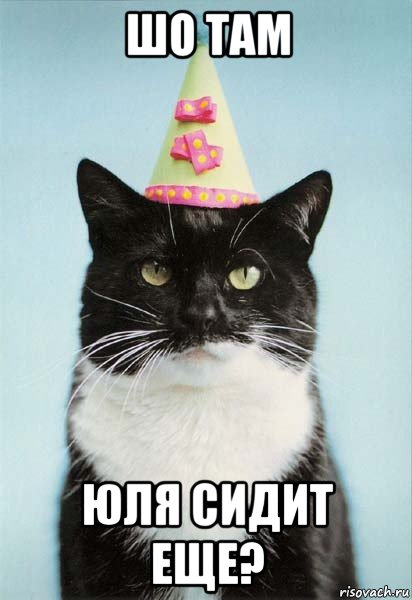 шо там юля сидит еще?