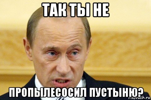 так ты не пропылесосил пустыню?, Мем путин