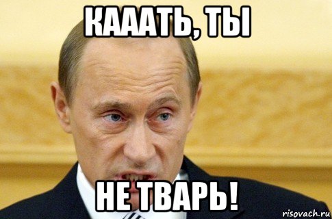 кааать, ты не тварь!, Мем путин