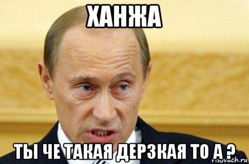 ханжа ты че такая дерзкая то а ?, Мем путин