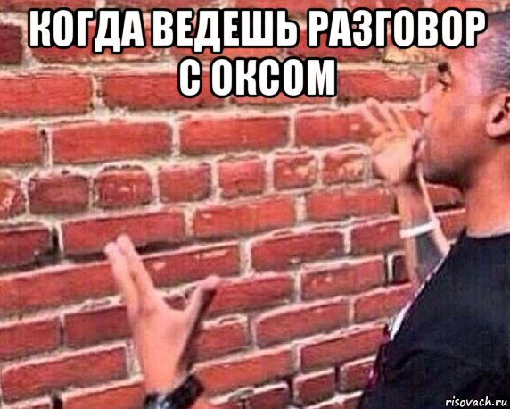 когда ведешь разговор с оксом , Мем разговор со стеной