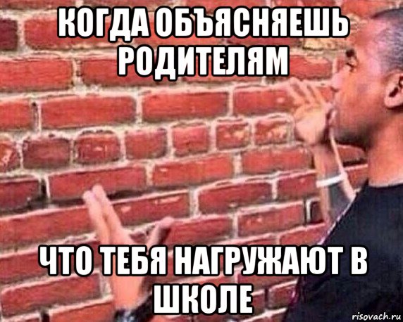 когда объясняешь родителям что тебя нагружают в школе, Мем разговор со стеной