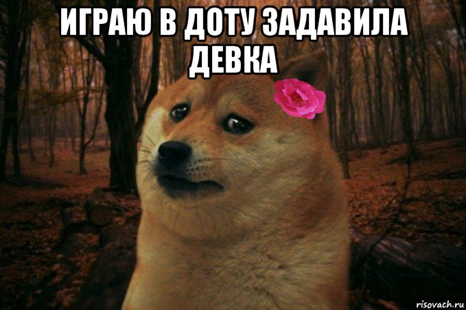 играю в доту задавила девка , Мем  SAD DOGE GIRL