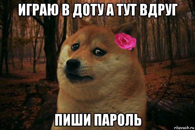 играю в доту а тут вдруг пиши пароль, Мем  SAD DOGE GIRL