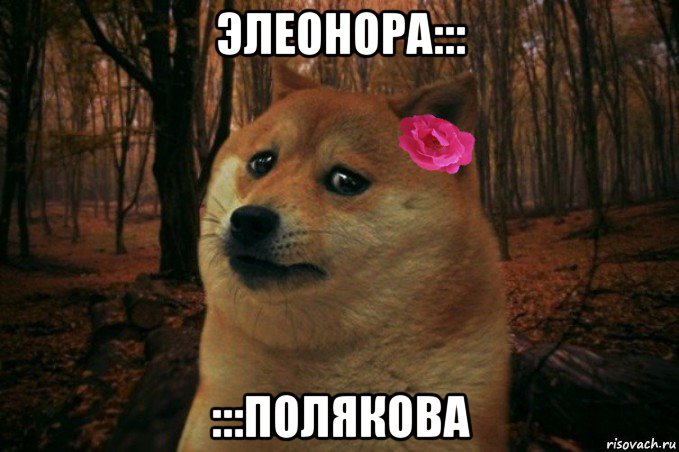 элеонора::: :::полякова, Мем  SAD DOGE GIRL