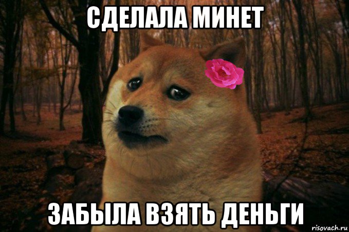 сделала минет забыла взять деньги, Мем  SAD DOGE GIRL