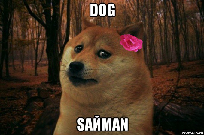 dog saймаn, Мем  SAD DOGE GIRL