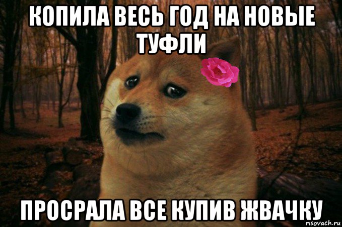 копила весь год на новые туфли просрала все купив жвачку, Мем  SAD DOGE GIRL