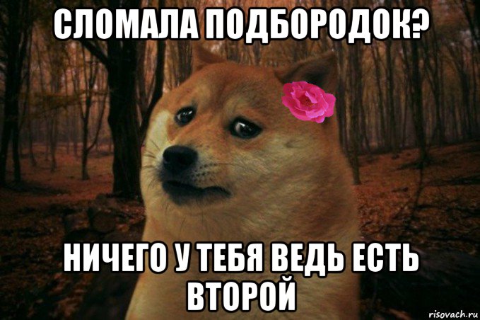 сломала подбородок? ничего у тебя ведь есть второй, Мем  SAD DOGE GIRL