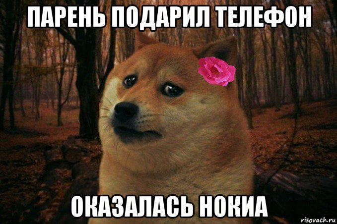 парень подарил телефон оказалась нокиа, Мем  SAD DOGE GIRL