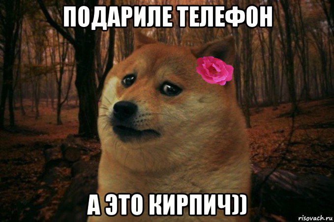 подариле телефон а это кирпич)), Мем  SAD DOGE GIRL