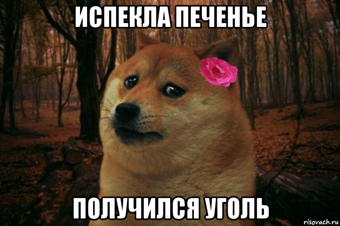 испекла печенье получился уголь, Мем  SAD DOGE GIRL