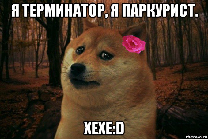 я терминатор, я паркурист. хехе:d, Мем  SAD DOGE GIRL