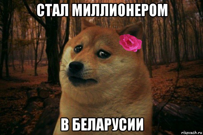 стал миллионером в беларусии, Мем  SAD DOGE GIRL