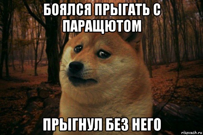 боялся прыгать с паращютом прыгнул без него, Мем SAD DOGE