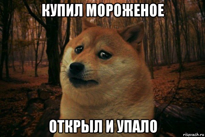 купил мороженое открыл и упало, Мем SAD DOGE