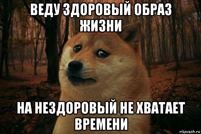 веду здоровый образ жизни на нездоровый не хватает времени, Мем SAD DOGE