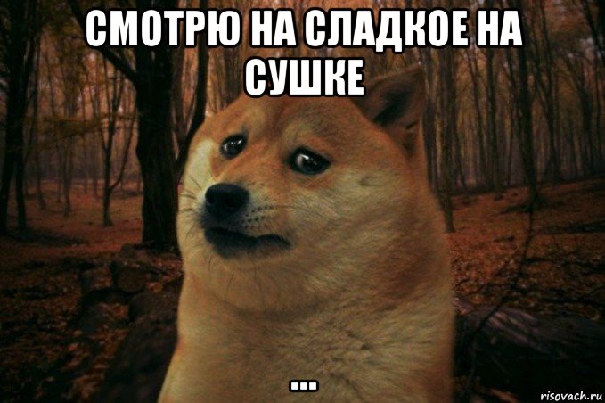 смотрю на сладкое на сушке ..., Мем SAD DOGE