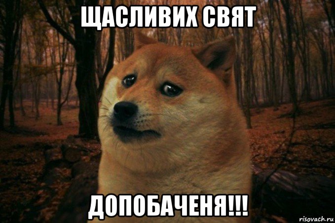 щасливих свят допобаченя!!!, Мем SAD DOGE