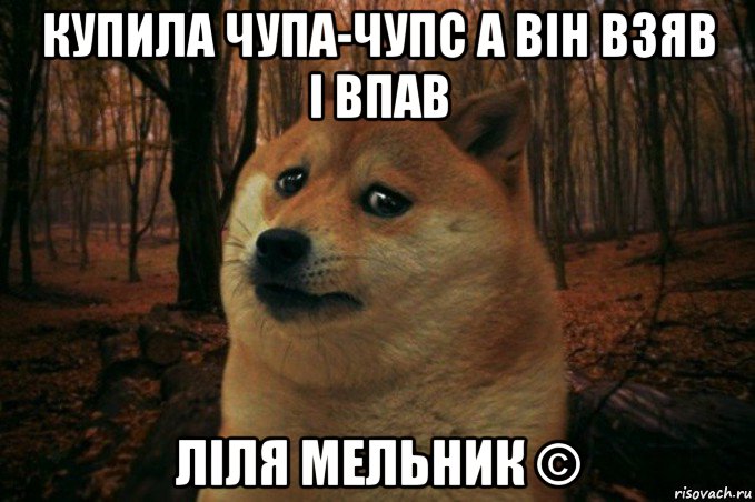 купила чупа-чупс а він взяв і впав ліля мельник ©, Мем SAD DOGE