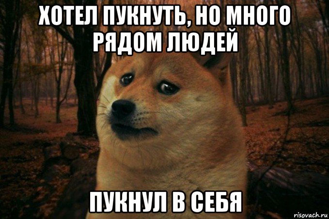 хотел пукнуть, но много рядом людей пукнул в себя, Мем SAD DOGE