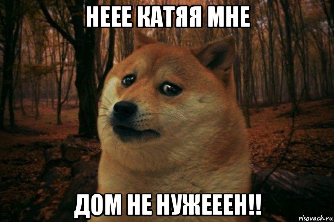 неее катяя мне дом не нужееен!!, Мем SAD DOGE