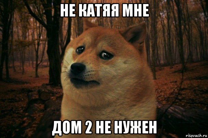 не катяя мне дом 2 не нужен, Мем SAD DOGE