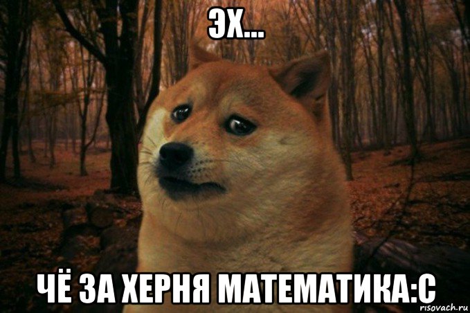 эх... чё за херня математика:с, Мем SAD DOGE