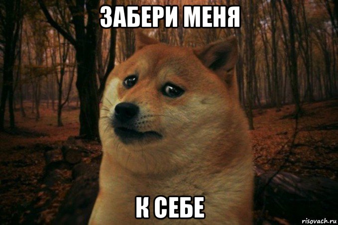 забери меня к себе, Мем SAD DOGE