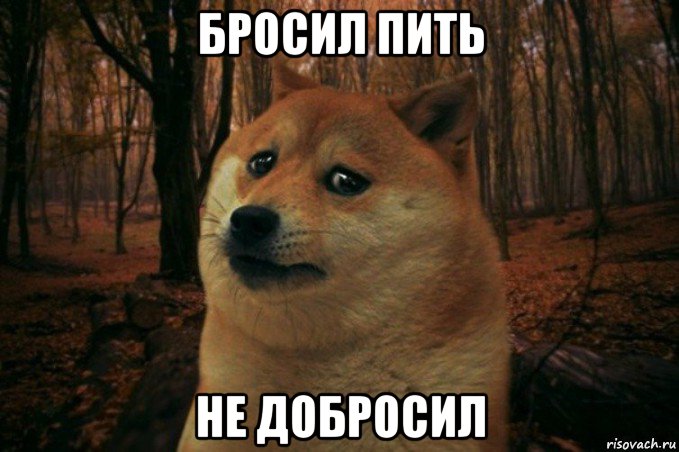 бросил пить не добросил, Мем SAD DOGE