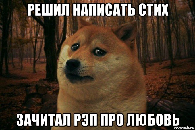 решил написать стих зачитал рэп про любовь, Мем SAD DOGE