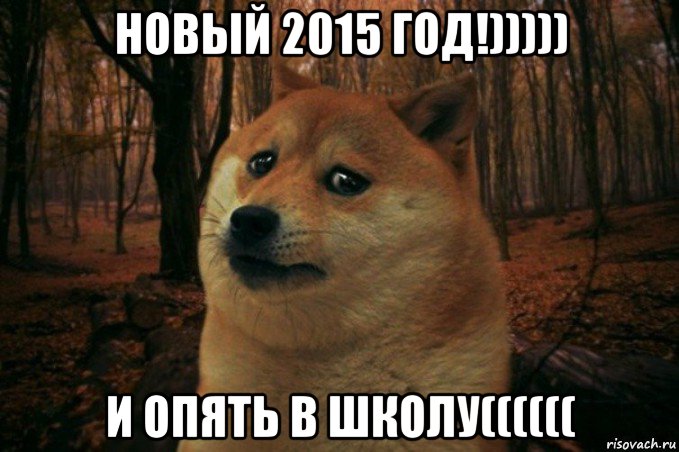 новый 2015 год!))))) и опять в школу((((((, Мем SAD DOGE