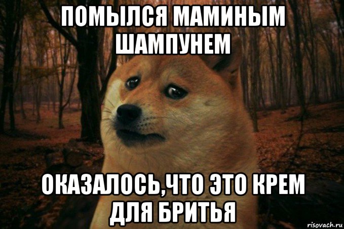 помылся маминым шампунем оказалось,что это крем для бритья, Мем SAD DOGE