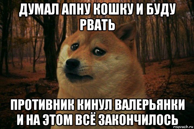 думал апну кошку и буду рвать противник кинул валерьянки и на этом всё закончилось