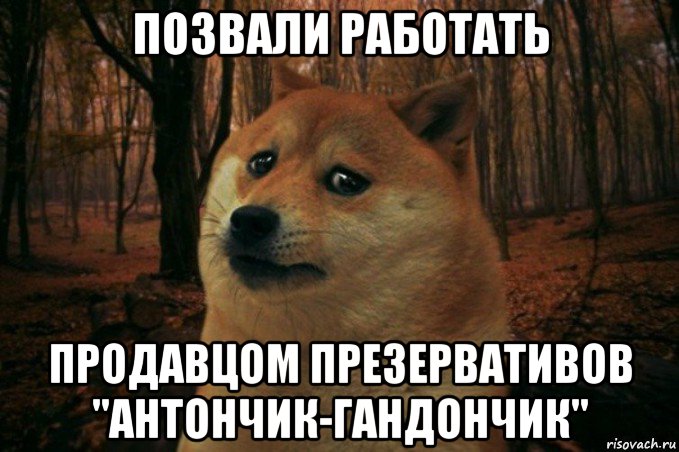 позвали работать продавцом презервативов "антончик-гандончик", Мем SAD DOGE