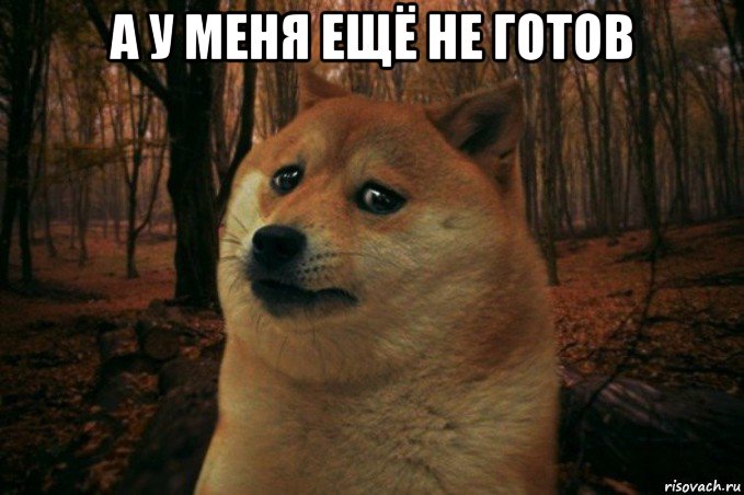 а у меня ещё не готов , Мем SAD DOGE