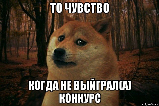 то чувство когда не выйграл(а) конкурс, Мем SAD DOGE