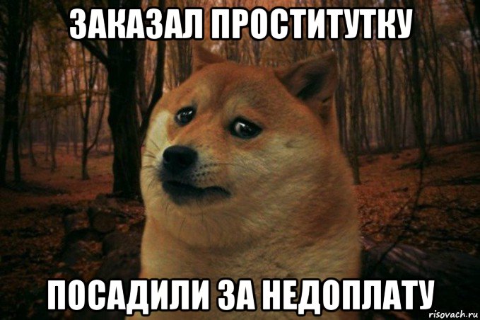 заказал проститутку посадили за недоплату, Мем SAD DOGE