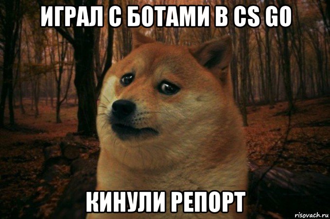 играл с ботами в cs go кинули репорт, Мем SAD DOGE