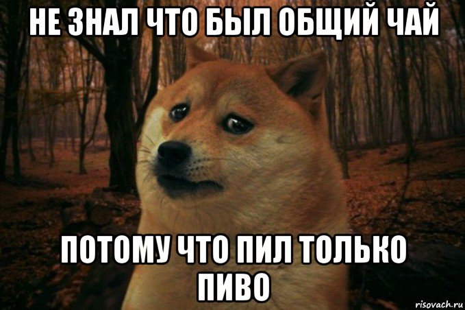 не знал что был общий чай потому что пил только пиво, Мем SAD DOGE