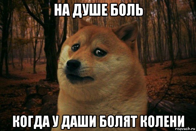 на душе боль когда у даши болят колени, Мем SAD DOGE