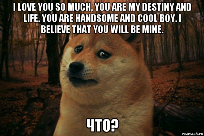 i love you so much, you are my destiny and life. you are handsome and cool boy. i believe that you will be mine. что?, Мем SAD DOGE