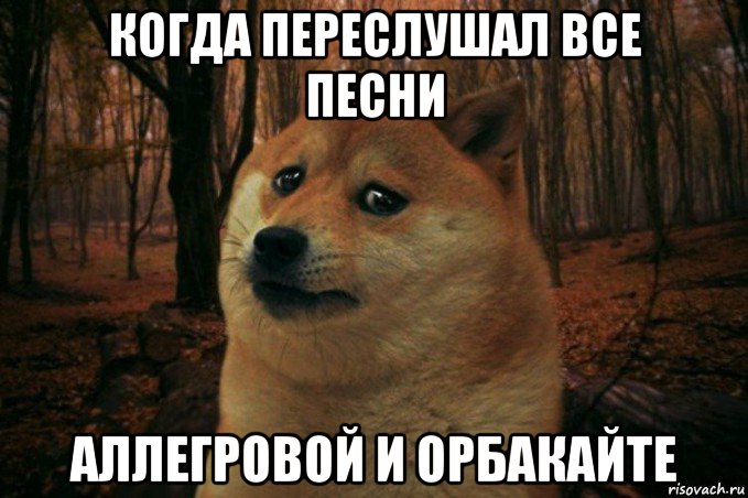 когда переслушал все песни аллегровой и орбакайте, Мем SAD DOGE