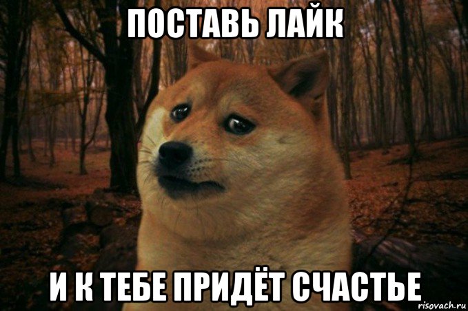 поставь лайк и к тебе придёт счастье, Мем SAD DOGE