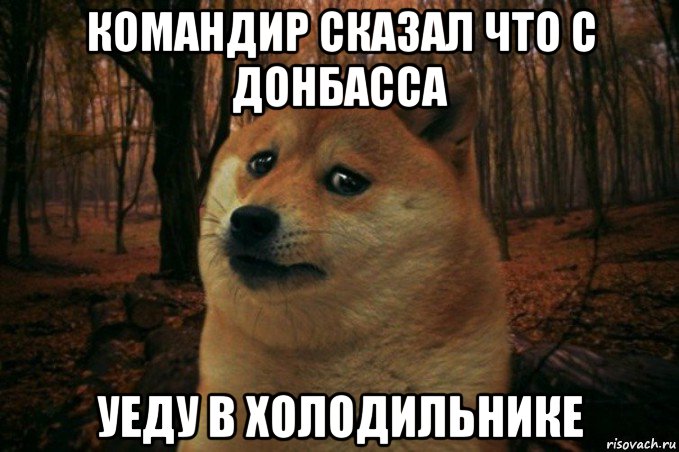 командир сказал что с донбасса уеду в холодильнике, Мем SAD DOGE