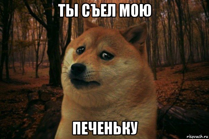 ты съел мою печеньку, Мем SAD DOGE