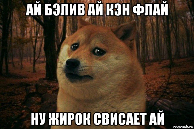 ай бэлив ай кэн флай ну жирок свисает ай, Мем SAD DOGE