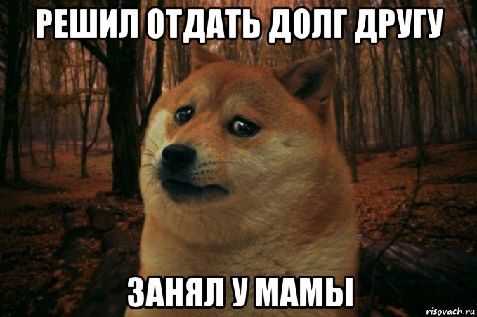 решил отдать долг другу занял у мамы, Мем SAD DOGE